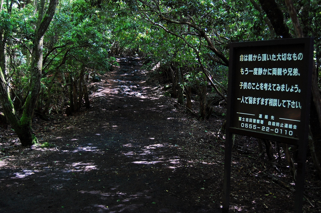 A wooden sign with Japanese text that stands on the side of a path leading into a forest.