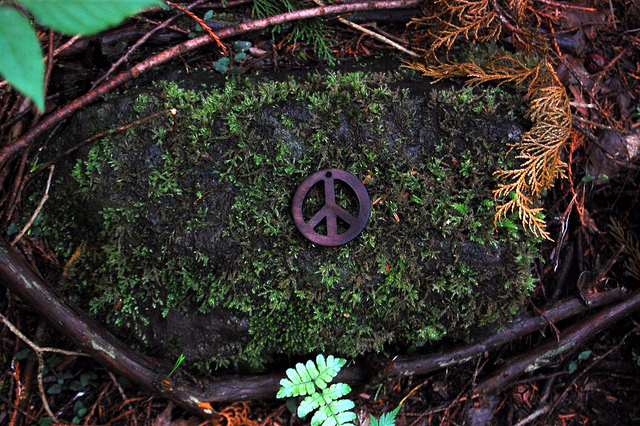 Aokigahara, peace sign