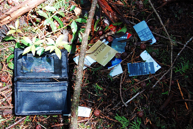 Aokigahara, a suicide scene