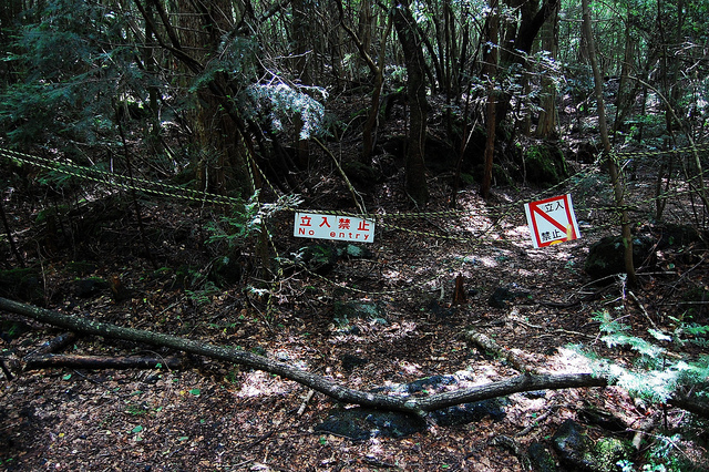 Aokigahara- warning signs everywere